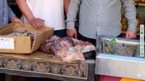 حملة تموينية في بني سويف تضبط لحوما وأسماكا فاسدة