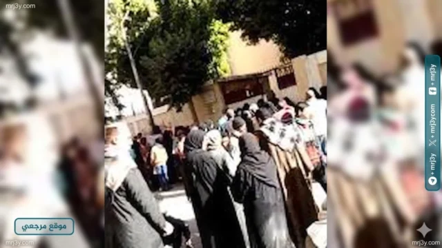 دمياط