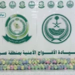 دوريات الأفواج الأمنية تضبط مروج قات بعسير في محافظة الفرشة
