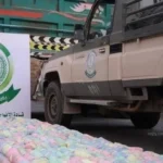 دوريات الأفواج بجازان تضبط مروج قات في محافظة فيفا