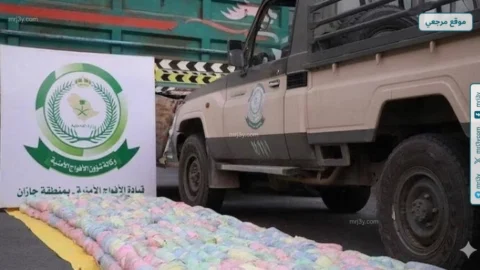 دوريات الأفواج بجازان تضبط مروج قات في محافظة فيفا