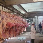 الصحة تدعو لذبح الاضاحي داخل المجازر المعتمدة خلال عيد الاضحى