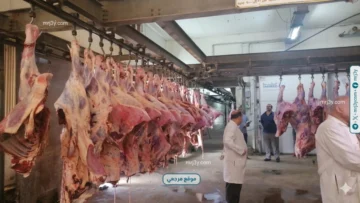 ذبح الاضاحي