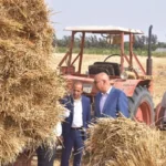 رئيس جامعة مدينة السادات يشهد حصاد القمح بمزارع الجامعة