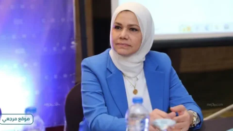 رشا عبد العال رئيس مصلحة الضرائب المصرية