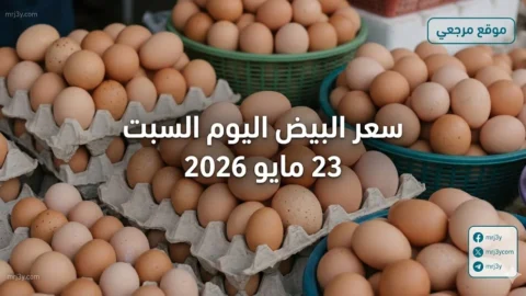 سعر البيض اليوم السبت 23 مايو 2026