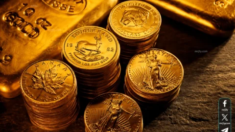 سعر الجنيه الذهب