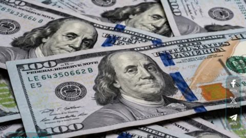 سعر الدولار اليوم