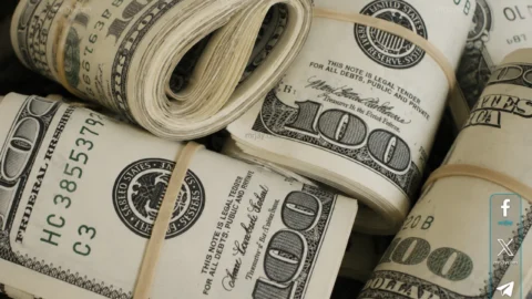 سعر الدولار اليوم