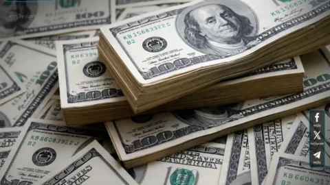 سعر الدولار اليوم