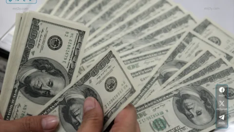 سعر الدولار اليوم