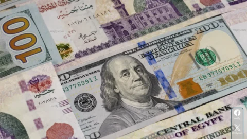 سعر الدولار اليوم