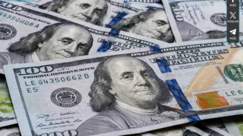 سعر الدولار اليوم