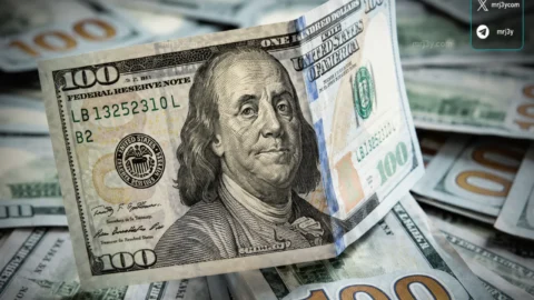 سعر الدولار اليوم في مصر
