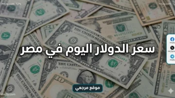 سعر الدولار اليوم في مصر 20 مايو 2026