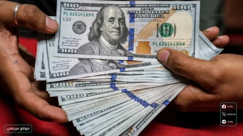 سعر الدولار اليوم في مصر مساء اليوم