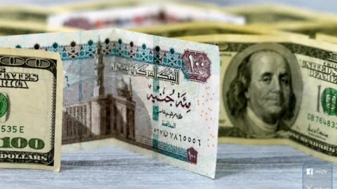 سعر الدولار اليوم مقابل الجنيه المصري