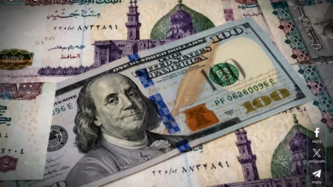 سعر الدولار في مصر اليوم