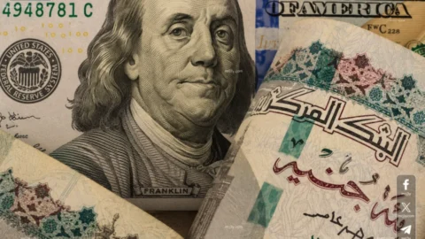 سعر الدولار في مصر اليوم