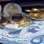 استقرار نسبي.. سعر الريال السعودي في مصر يستقر بالبنوك مع فروق طفيفة بين الشراء والبيع