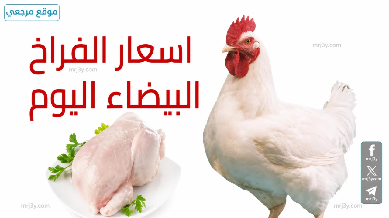 سعر الفراخ اليوم
