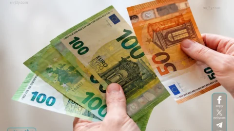 سعر اليورو اليوم