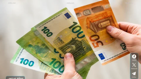 سعر اليورو اليوم الاربع 13 مايو 2026