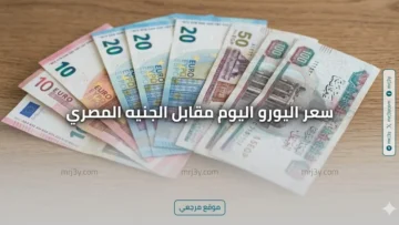سعر اليورو اليوم مقابل الجنيه المصري