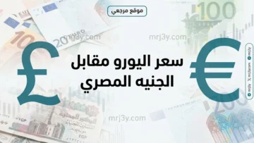 سعر اليورو مقابل الجنيه المصري اليوم السبت 23 مايو 2026