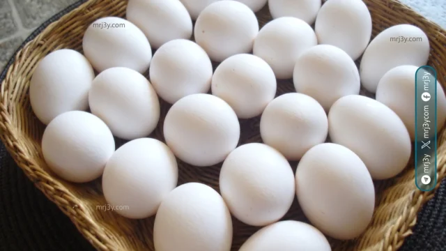 سعر طبق البيض اليوم