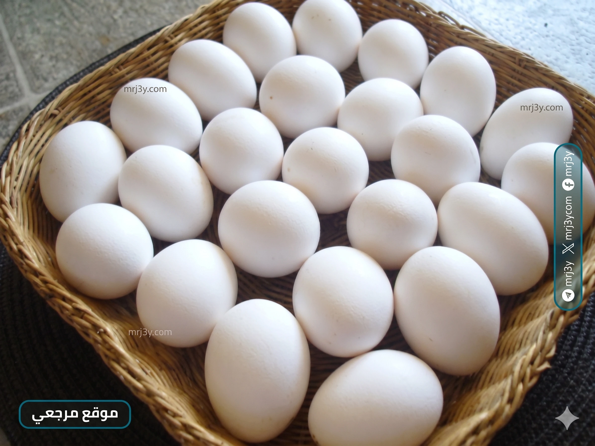 سعر طبق البيض اليوم