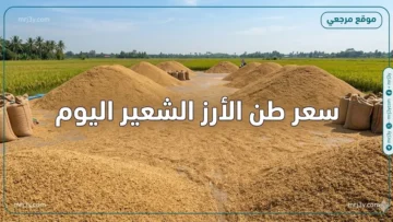 سعر طن الأرز الشعير اليوم