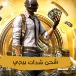“شداتك في ثواني”.. أفضل طرق شحن PUBG Mobile الآمنة لتفعيل الرويال باس الجديد