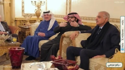 شراكة مصرية سعودية
