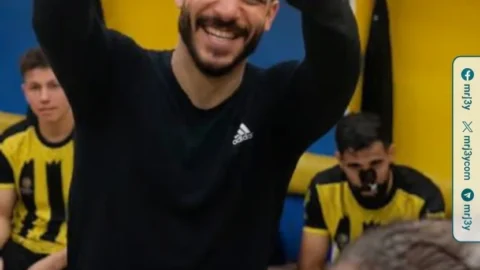 شكري نجيب