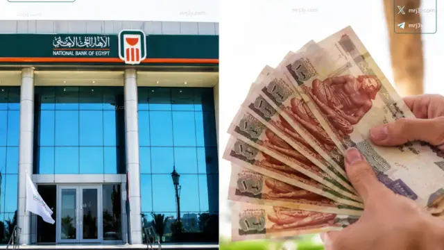 شهادات البنك الاهلي 2026