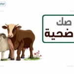 دليل صكوك الأضاحي 2026 الأسعار في الجمعيات الخيرية وطرق الدفع والحجز بالتفصيل