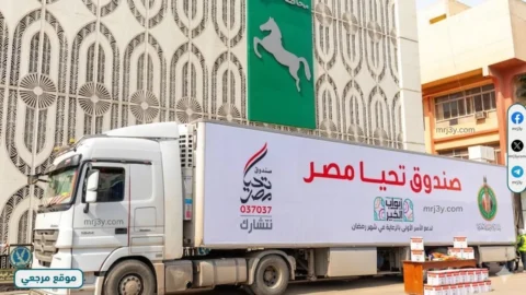 صندوق تحيا مصر