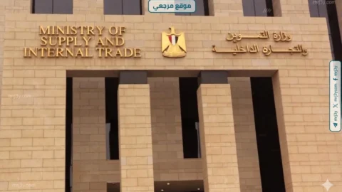 ضبط مخللات مجهولة المصدر وسولار خلال حملات تموينية بالبحيرة