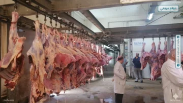 طب بيطري الإسكندرية تعلن الطوارئ وفتح المجازر مجانا بالعيد