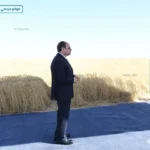 مركز المعلومات يستعرض مشروع الدلتا الجديدة وحصاد القمح