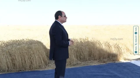 عبد الفتاح السيسي