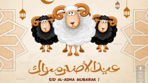 عدد أيام إجازة عيد الأضحى 2026
