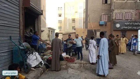 عشوائيات الباعة الجائلين
