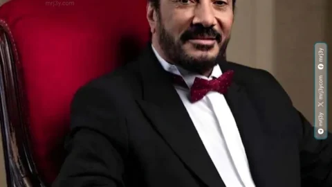 علي الحجار