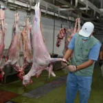 فرع بيئة مكة ينظم ورشة لضبط مخالفات الأسواق والمسالخ