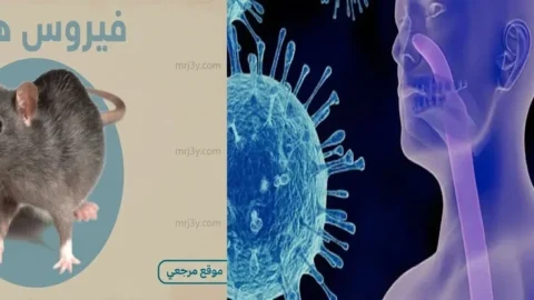 فيروس هانتا