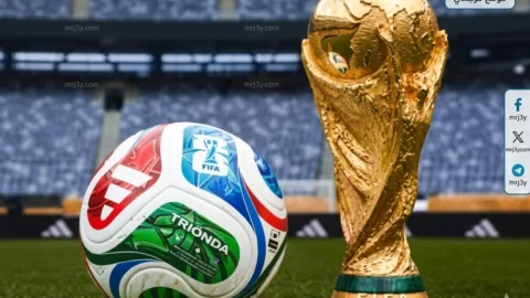 فيفا