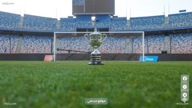 كأس مصر