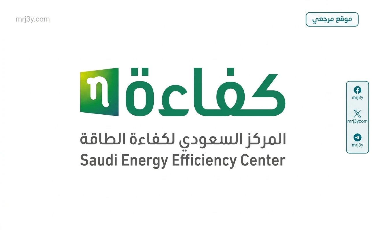 كفاءة الطاقة